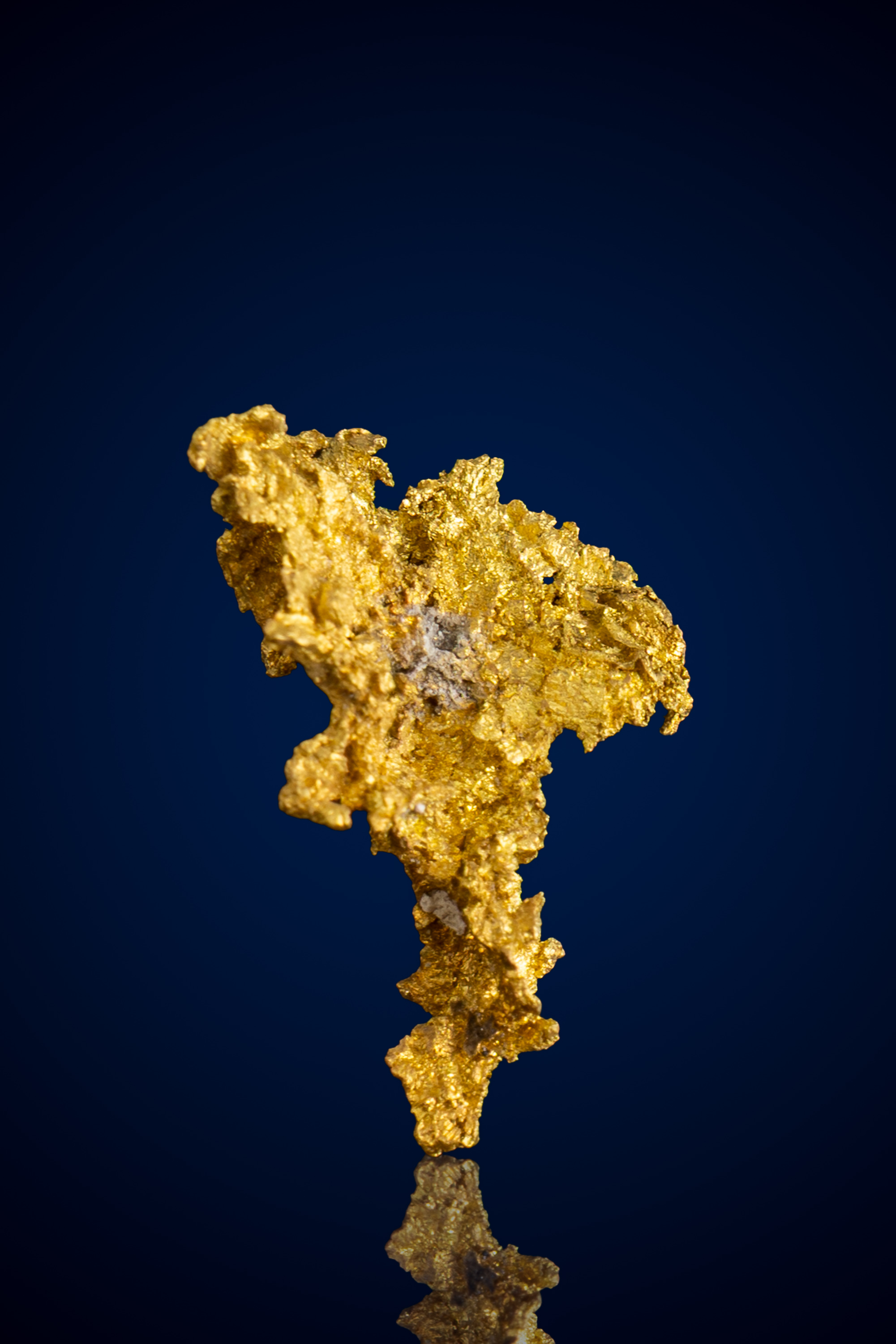 (image for) Elegant, Remarkable Natural Gold Nugget - Oriental Mine, CA - 0.85 grams
